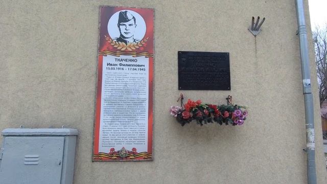 Город котов - Зеленоградск. смотреть онлайн