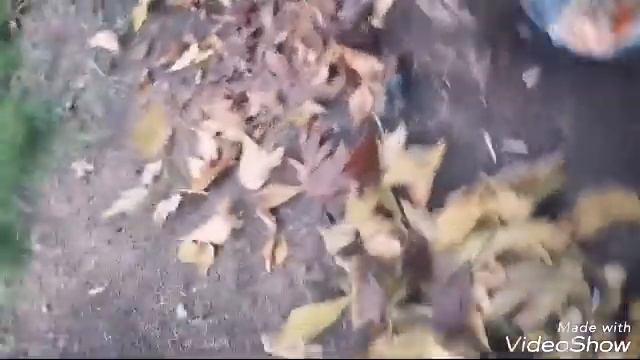 ПОМОГАЙТЕ БЕЗДОМНЫМ!!! смотреть онлайн