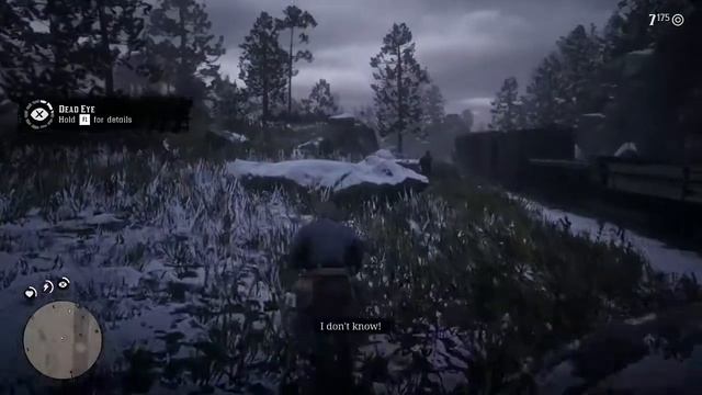 Red Dead Redemption 2 - AMD RX 550 2Gb - Ram 8Gb - I5 660 -First Train Robbery - Low End PC смотреть онлайн