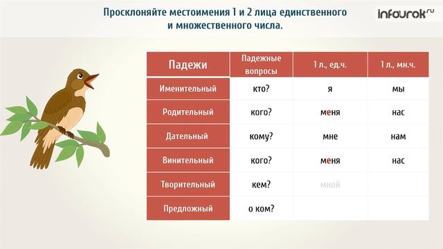 Склонение местоимений смотреть онлайн