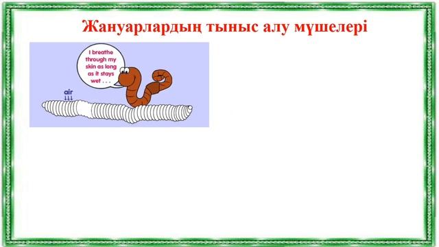 7-сынып Тірі организмдердегі тыныс алудың маңызы смотреть онлайн