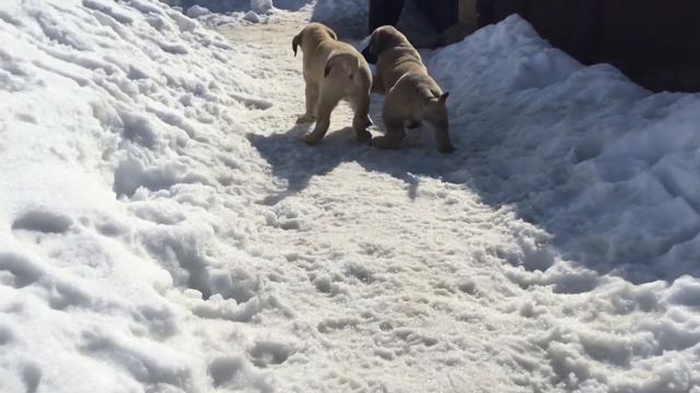 9 апреля 2022 г.