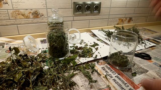 Учебник по Творческой Реализации