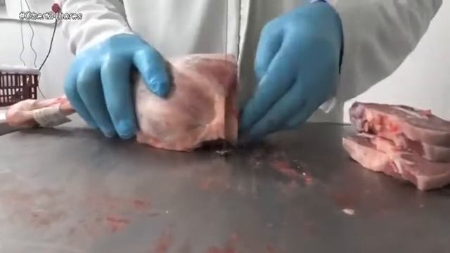 Pla D'Abella De Navès