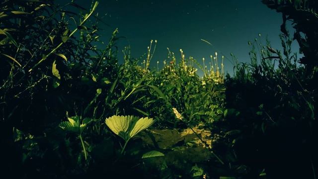 Съемка ночного неба с GoPro (nightlapse) смотреть онлайн