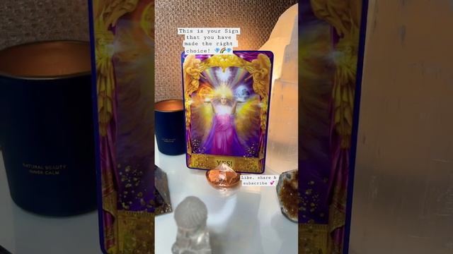 ✨This is your Sign from the Angels✨ #angels #asktheangels #oracle #oraclecards #oraclereading смотреть онлайн