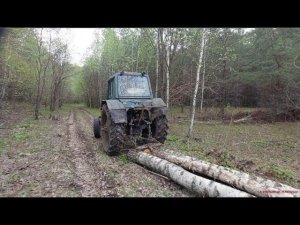 В лес на МТЗ-80! Напилил, привёз дров!