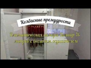 Климатическая камера Полаир 700 литров с внешним осушителем