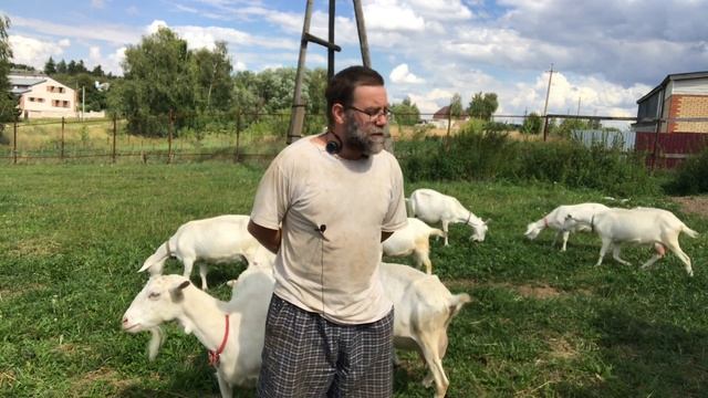 Как мы кормим коров на экоферме ЛПХ Фроловых смотреть онлайн