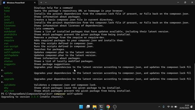 Bagaimana Cara Update Versi Composer Di Windows 10/11? смотреть онлайн