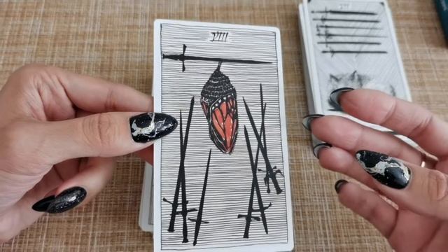 Обзор Дикое Неизвестное Таро/The Wild Unknown Tarot смотреть онлайн