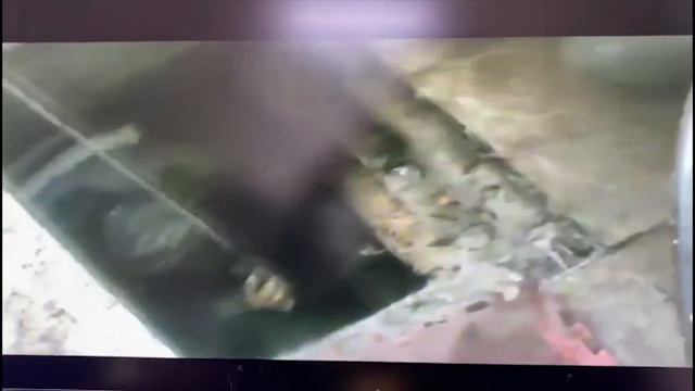 Подозреваемый прятался в погребе от полицейских в Алматинской области| Видео Nur.kz смотреть онлайн