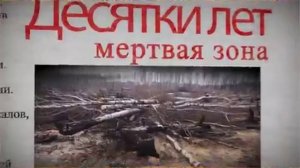 Последствия лесного пожара