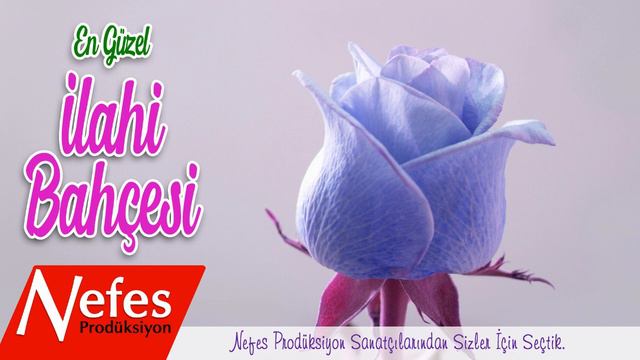 İlahi Bahçesi 💖 Meşhur İlahicilerden Karışık İlahiler 💖 Dinlemeye Doyamacaksınız