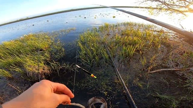 СУПЕР КЛЁВ КАРАСЯ на удочку.Рыбалка на поплавок 2022 смотреть онлайн