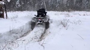 Stels Guepard 650 на снегу