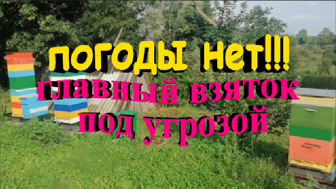 Погоды нет. Главный взяток под угрозой смотреть онлайн