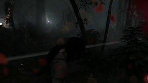 TOMB RAIDER прохождение #30 - волчье логово