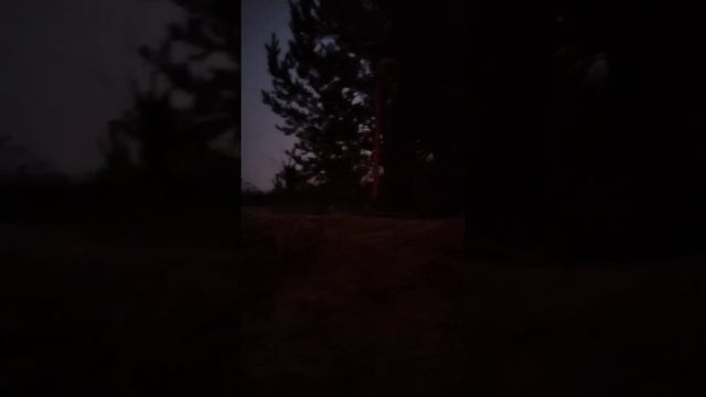 Магнитометр Гефест 4, 2 м на лопату. смотреть онлайн