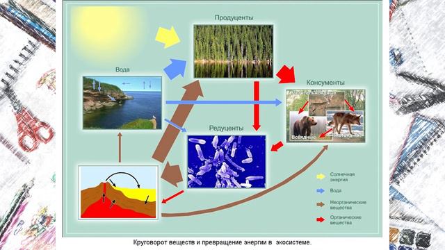 ONLAYN DARS QDU смотреть онлайн