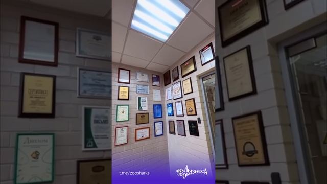 Акулы Зообизнеса в гостях у Мишель и К - часть 1 смотреть онлайн