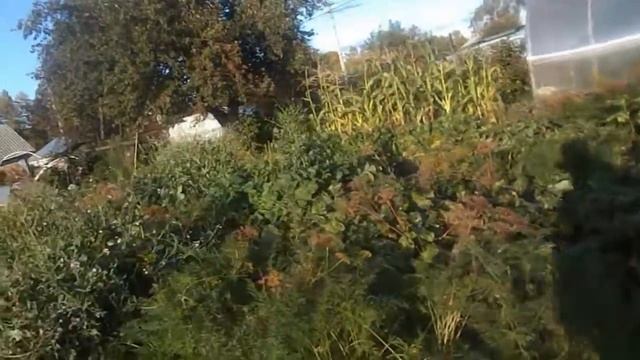 ДРУГИХ УЧИТЬ , ЧТО ВОДУ В РЕШЕТЕ НОСИТЬ