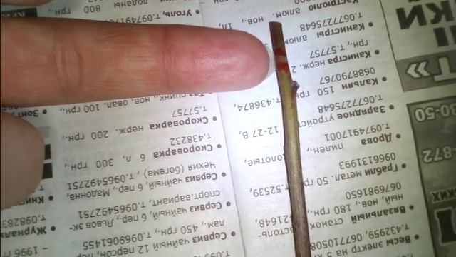 Из китайских семян выращиваем ДРЕВОВИДНЫЙ ПИОН (часть 2) смотреть онлайн