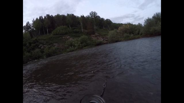 Рыбалка на хариуса Алтай (Грот-Природа права) смотреть онлайн