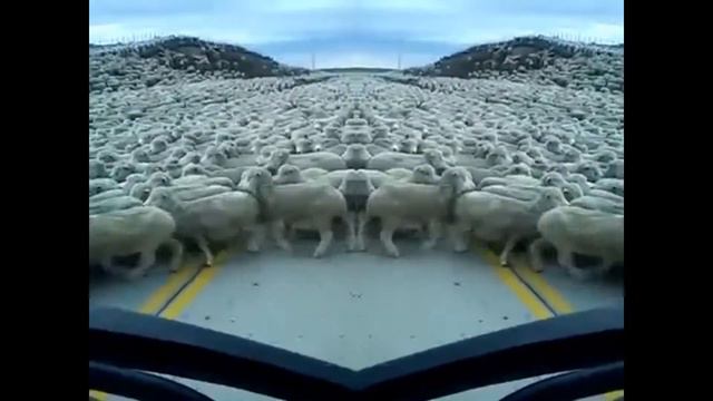 Zola Jesus - Bitten Wool смотреть онлайн