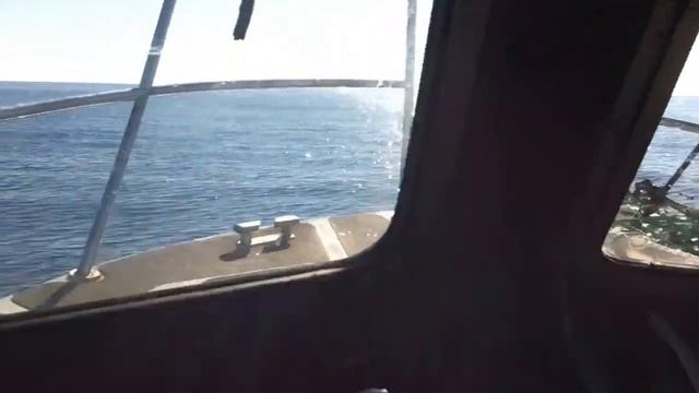 Mad codl fishing on Sea-Otter 2 смотреть онлайн