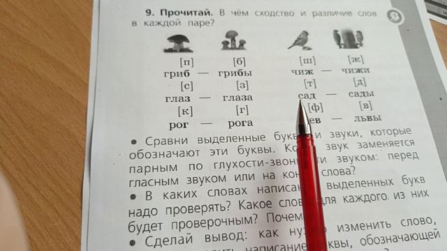 Русский язык. 17.04.2024.mp4 смотреть онлайн