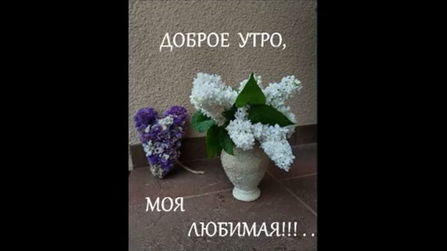 Моей ЛЮБИМОЙ Павлиночке.. (С ДОБРЫМ УТРОМ, ЛЮБИМАЯ!..) смотреть онлайн