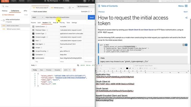 SAP Ariba Developer Portal - Consume the Ariba APIs смотреть онлайн