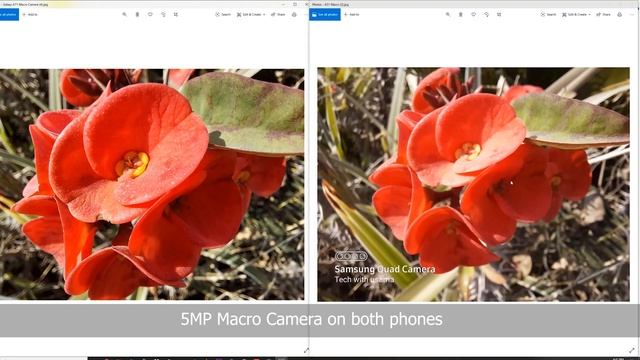 Samsung Galaxy A71 vs Galaxy A51 Camera Comparison смотреть онлайн