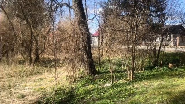 Дом в посёлке Тишино смотреть онлайн