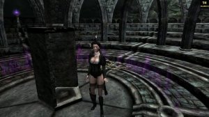 Skyrim: (Мод) - [DEM] Companion / [DEM] Серана и Лидия -