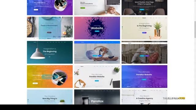 Wexim - Creative WordPress Theme multiple layouts digital agency Easy Create Website смотреть онлайн