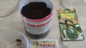 Выращивание лагенарии. Посев лагенарии на рассаду .