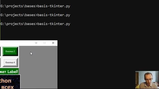 Библиотека Tkinter. Виджет Entry. Вводим данные в однострочное поле ввода смотреть онлайн