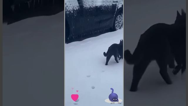 Как правильно ходить по снегу