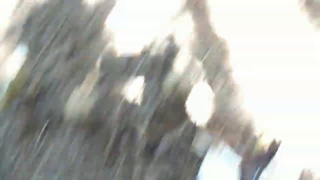 Такие разные грузди 30 07 2020 смотреть онлайн