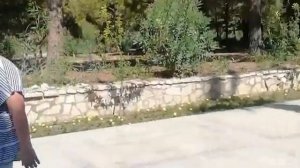 Сеть отелей Сурал, Турция, Сиде, Чолаклы