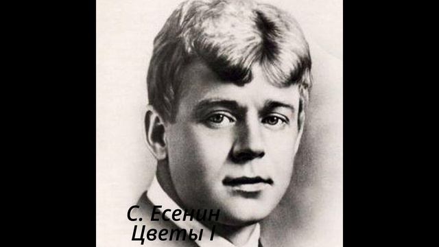 296 1 Цветы I смотреть онлайн