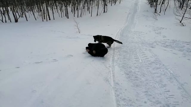 Когда нет лыж, все средства хороши смотреть онлайн
