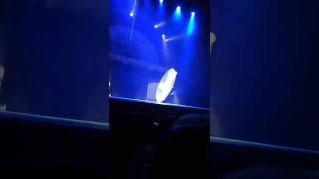 Очень классно цирке смотреть онлайн
