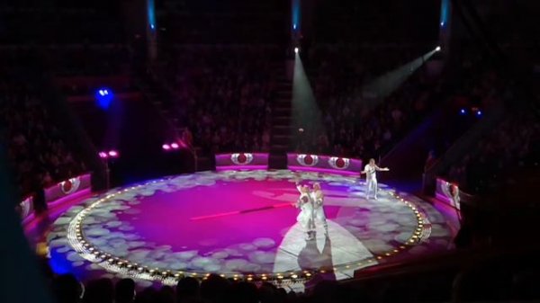 Цирковое представление " Магия цирка"  на цветном бульваре 19.03.2017