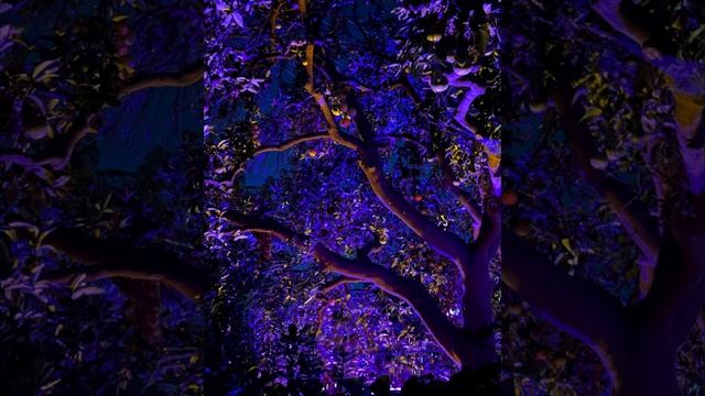 Узнай, где ты смотреть онлайн