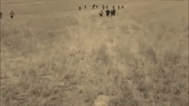 Сволочи  Маэстро