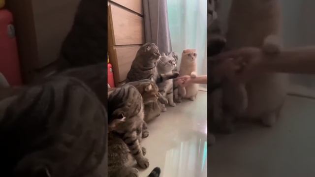 Встреча лидеров смотреть онлайн