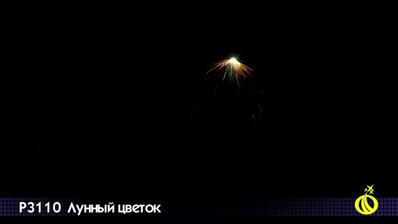 Р3110 смотреть онлайн
